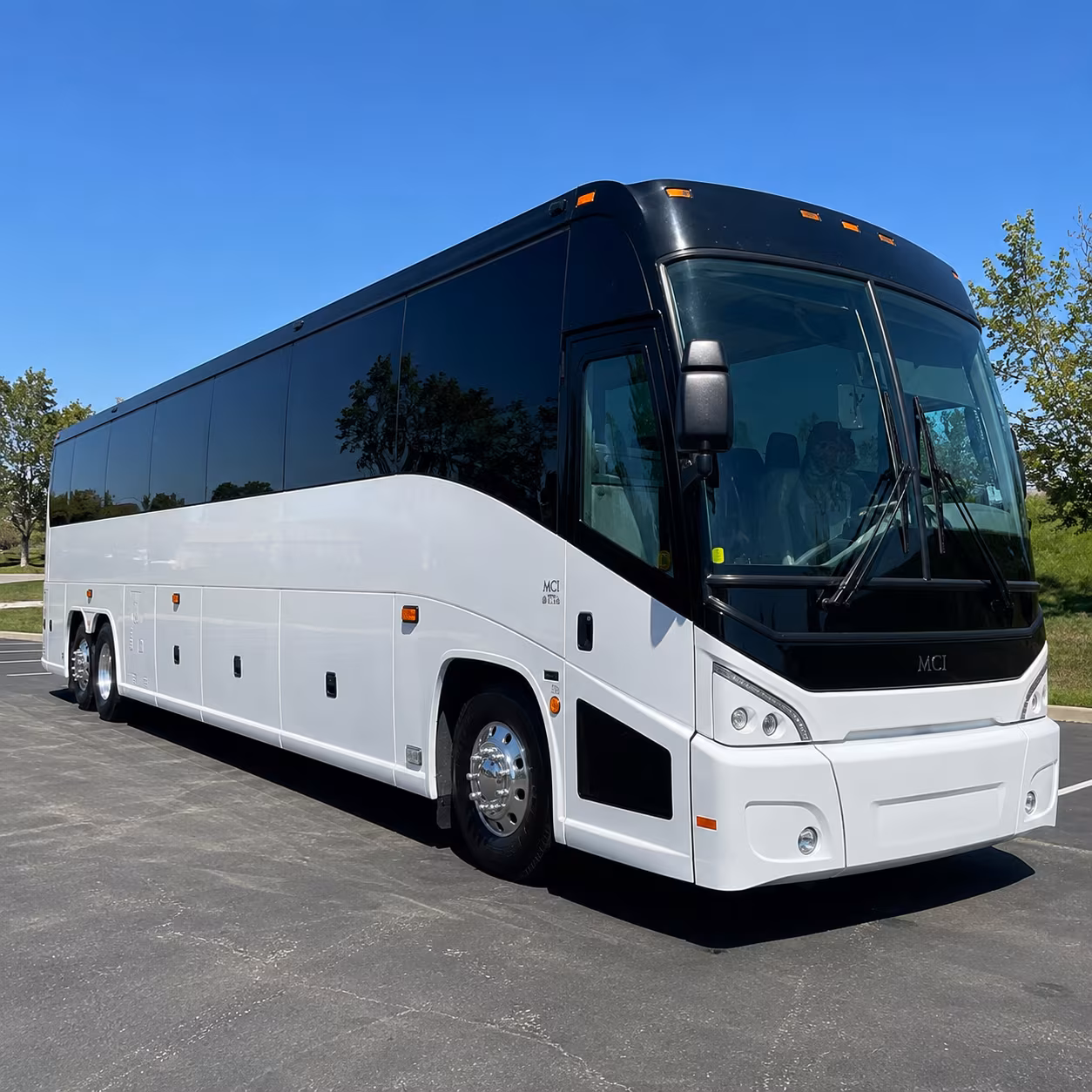 one search for your bellflower group trip